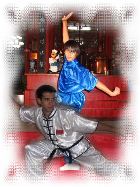 vovinam viet-vo-dao